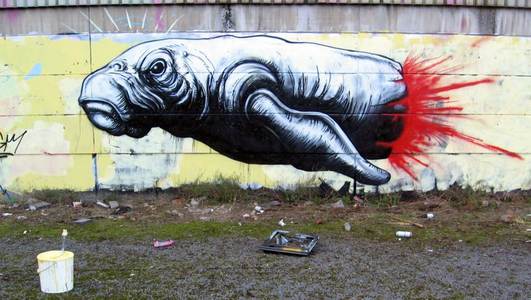  roa belgium