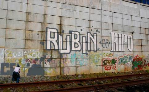  rubin ripo nyc