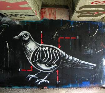  roa pigeon belgium