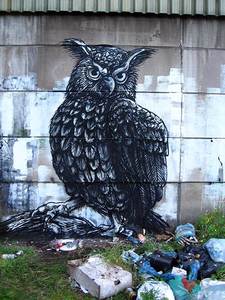  roa owl belgium