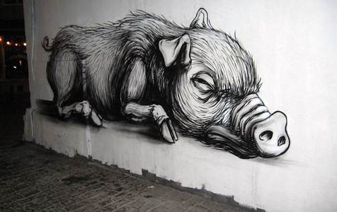  roa pig belgium