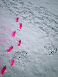  elfo snow floor pink italy