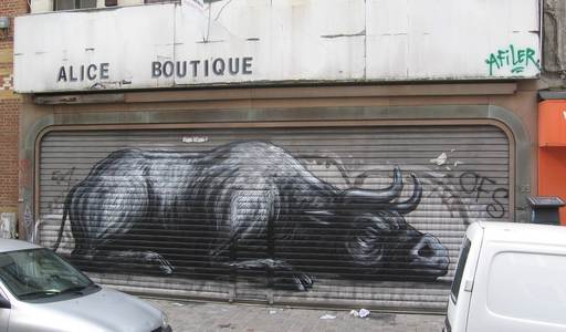  roa afiler bruxelles shutters belgium