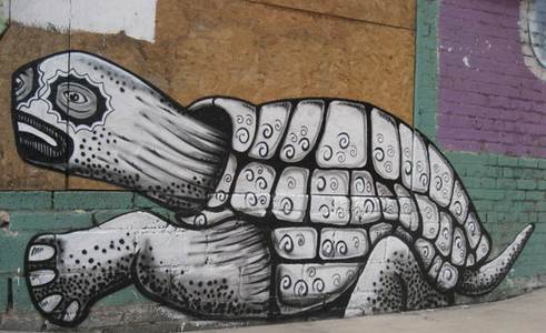  phlegm turtle sheffield ukingdom