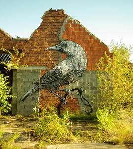  roa bird gent belgium