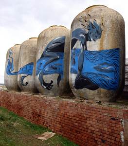  laguna blue fish almagro spain