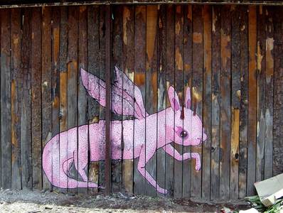  fotze pink mexico