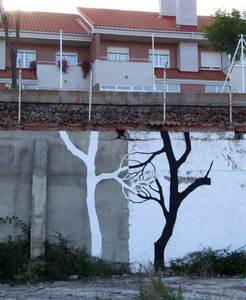  pablo-s-herrero rope tree spain