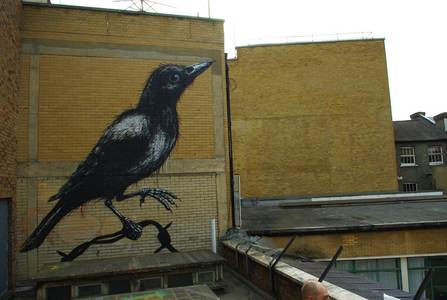  roa rooftop bird london ukingdom