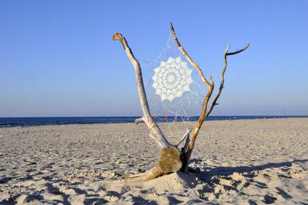  nespoon beach tree poland