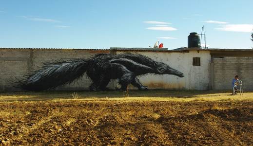  roa mexico