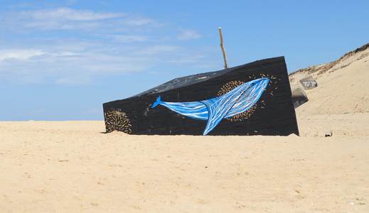 france blockhaus whale thto summer14