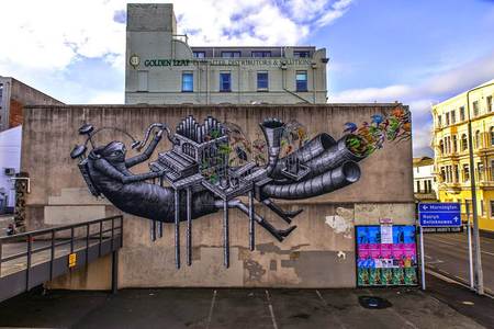 big newzealand phlegm