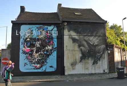 belgium skull steve-locatelli