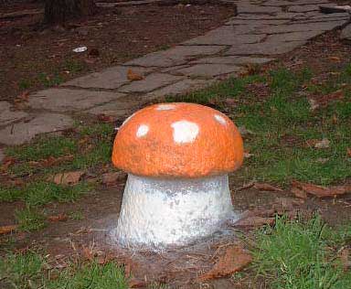  pao mushroom 3-d italy