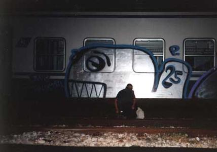  p25 train-italy whale