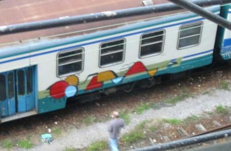  verme process train-italy