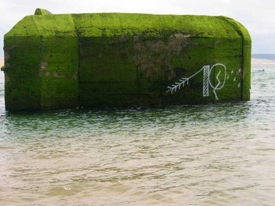  huitre n-g blockhaus green cap-ferret france