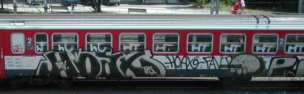  hoax skull train-bordeaux