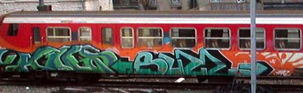  sike buzz train-bordeaux