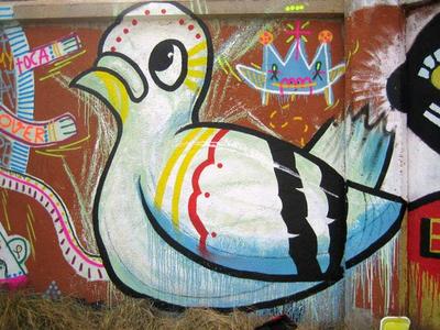  ripo bird pigeon barcelona