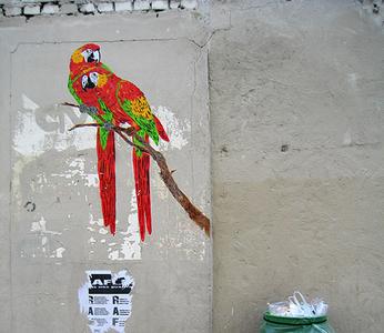  mosko bird red paris