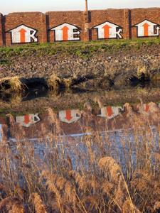  reko belgium