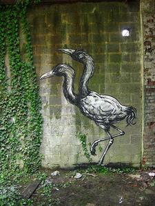  roa bird belgium