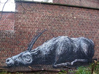  roa redbricks belgium