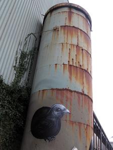  roa bird belgium