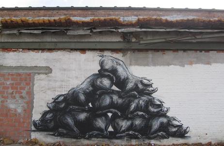  roa pig belgium