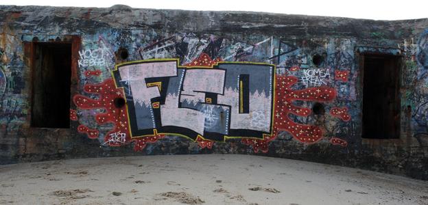  fleo drgs capbreton blockhaus france