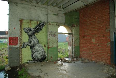  roa rabbit gent belgium