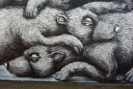  roa bear warsaw poland