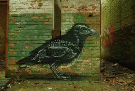  roa bird gent belgium