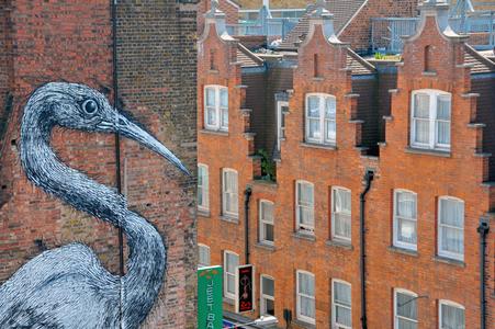  roa bird big london ukingdom