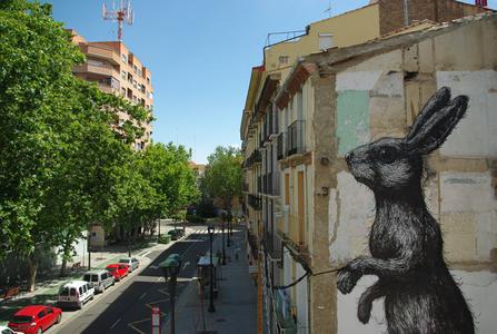  roa rabbit zaragoza spain