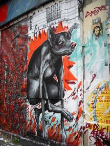  gorellaume dog paris