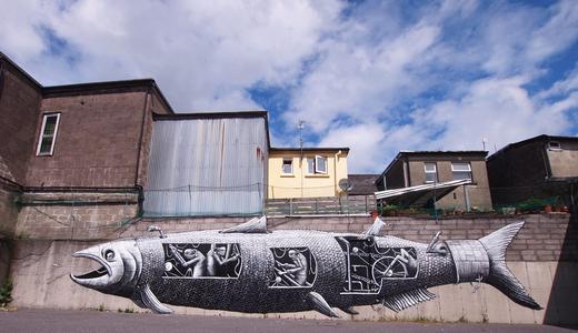  phlegm fish ireland europe