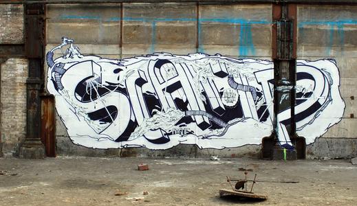 scamp lille france