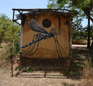  roa gambia africa