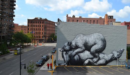  roa bear big usa north-america