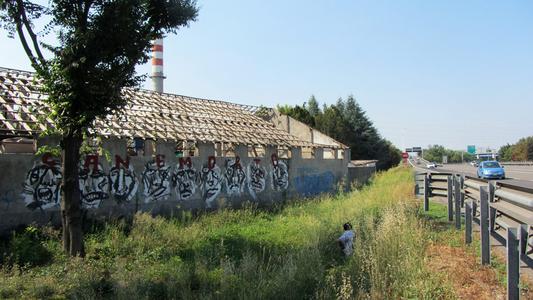 italy milano canemorto