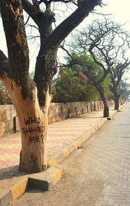 tree bombay india text-message -tyler-