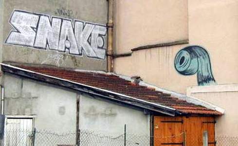 snake tarbes roof france p-q