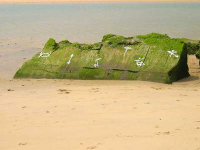  oister n-g blockhaus green cap-ferret france