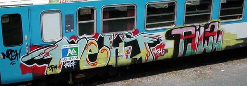  nesh piwa train-bordeaux