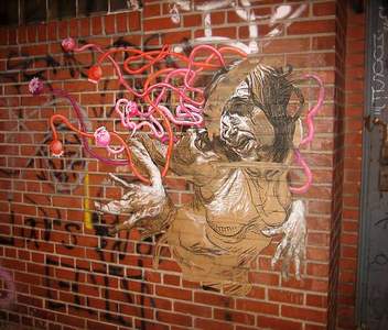  elbow-toe nyc
