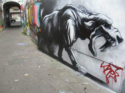  roa belgium