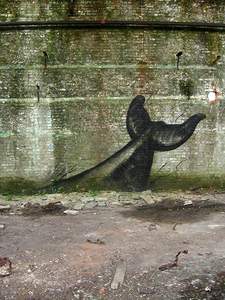  roa whale belgium